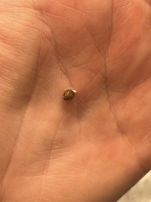 IMG_7399.jpeg IMG_7399.jpeg