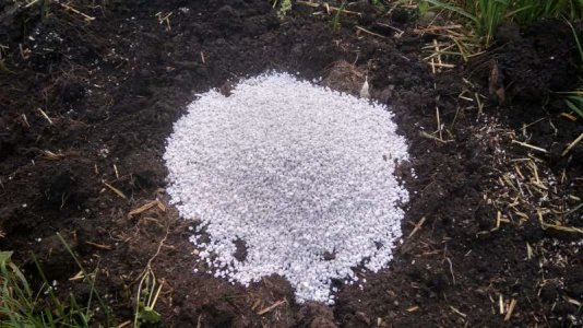 IMG_20230619_202104.jpg IMG_20230619_202104.jpg