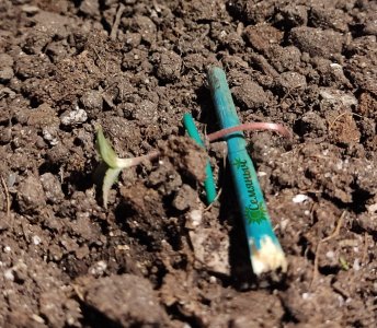 Picsart_23-06-23_09-17-09-602.jpg Picsart_23-06-23_09-17-09-602.jpg