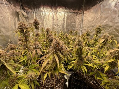 F83B2FF1-B831-4E4C-88FE-FEAC887AB5C1.jpeg F83B2FF1-B831-4E4C-88FE-FEAC887AB5C1.jpeg