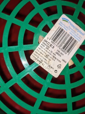 PXL_20230629_162313241.jpg PXL_20230629_162313241.jpg