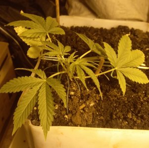 20230703_200035.jpg 20230703_200035.jpg