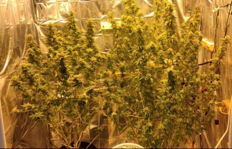 IMG_20230705_105603.jpg IMG_20230705_105603.jpg