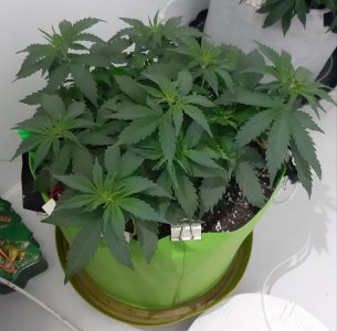 20230710_203234.jpg 20230710_203234.jpg