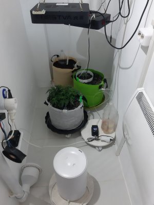 20230711_200014.jpg 20230711_200014.jpg