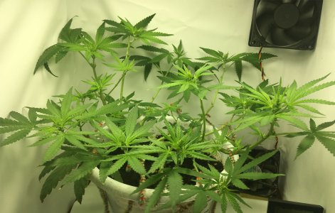 4654564.jpg 4654564.jpg