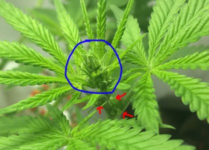 hfhfhfff.JPG hfhfhfff.JPG