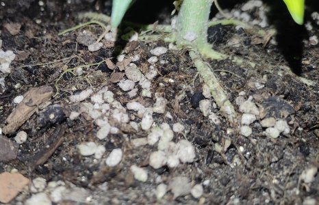 1640611242337-min.jpg 1640611242337-min.jpg