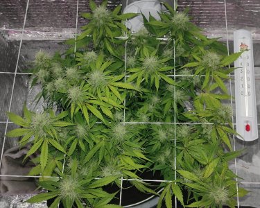 1640682655175-min-min.jpg 1640682655175-min-min.jpg