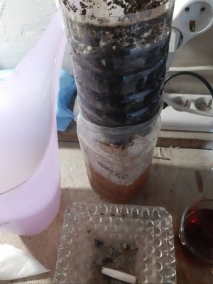 20230712_194135.jpg 20230712_194135.jpg