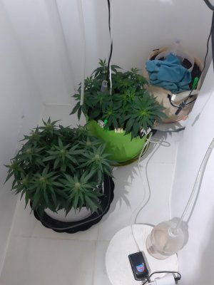 20230712_205322.jpg 20230712_205322.jpg