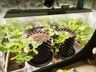 Sly8ryLSj3Y.jpg Sly8ryLSj3Y.jpg