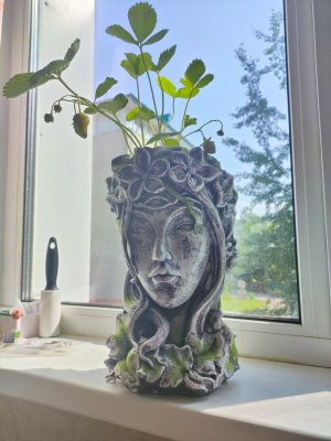 yWLZBjkh8eI.jpg yWLZBjkh8eI.jpg