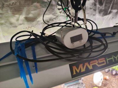 2sfap3SL2vE.jpg 2sfap3SL2vE.jpg