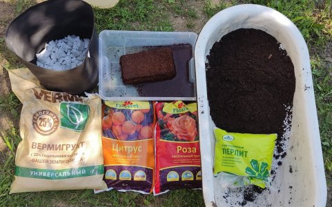 Picsart_23-07-16_18-31-52-651.jpg Picsart_23-07-16_18-31-52-651.jpg