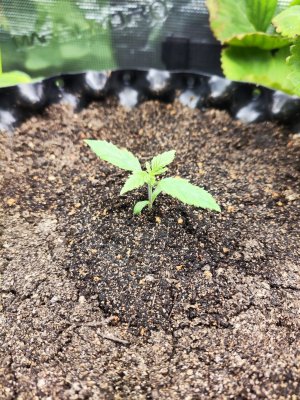 MVIMG_20230716_154022.jpg MVIMG_20230716_154022.jpg