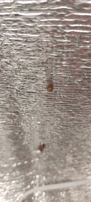 IMG_20230716_221559.jpg IMG_20230716_221559.jpg