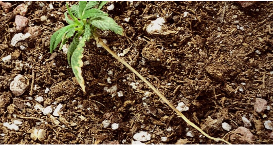 1689964894754.png 1689964894754.png