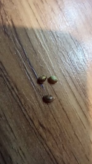 IMG_20230725_205834.jpg IMG_20230725_205834.jpg