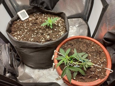 20230728_173714.jpg 20230728_173714.jpg