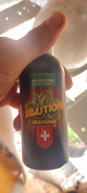 IMG_20230728_234908.jpg IMG_20230728_234908.jpg