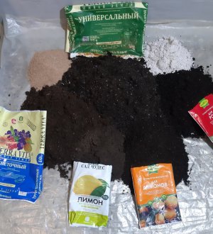 20230802_191056.jpg 20230802_191056.jpg