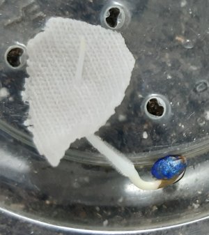 20230425_175604.jpg 20230425_175604.jpg