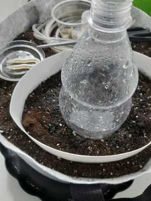 20230802_181310.jpg 20230802_181310.jpg