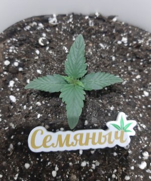 20230804_152935.jpg 20230804_152935.jpg