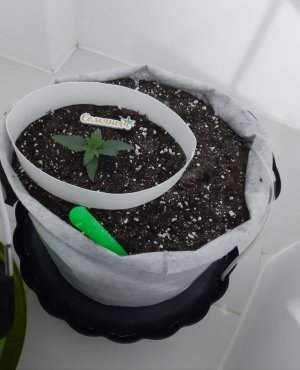 20230805_113152.jpg 20230805_113152.jpg