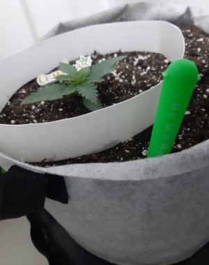 20230805_113113.jpg 20230805_113113.jpg