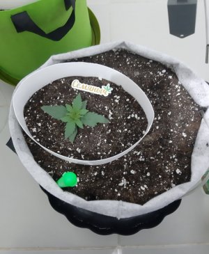 20230805_113056.jpg 20230805_113056.jpg