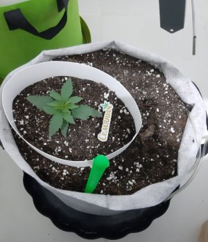 20230805_112928.jpg 20230805_112928.jpg