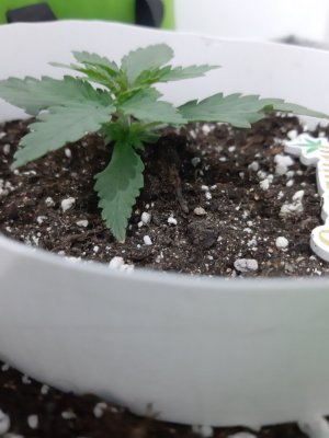 20230805_112945.jpg 20230805_112945.jpg