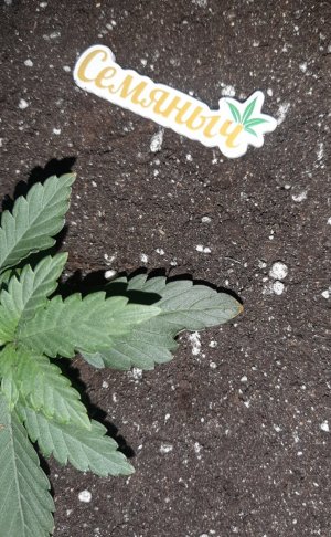 20230806_112224.jpg 20230806_112224.jpg