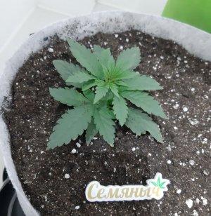 20230806_112113.jpg 20230806_112113.jpg