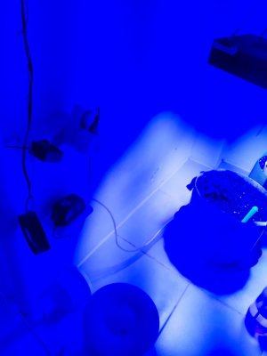 20230806_112028.jpg 20230806_112028.jpg