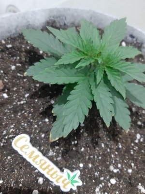 20230806_111939.jpg 20230806_111939.jpg