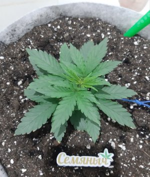 20230807_183651.jpg 20230807_183651.jpg