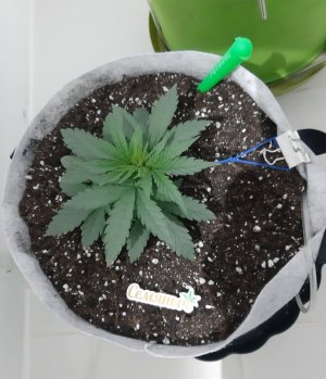 20230807_184447.jpg 20230807_184447.jpg