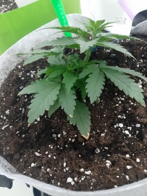 20230808_185050.jpg 20230808_185050.jpg