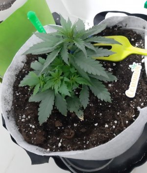 20230808_191051.jpg 20230808_191051.jpg