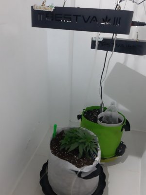 20230808_193234.jpg 20230808_193234.jpg