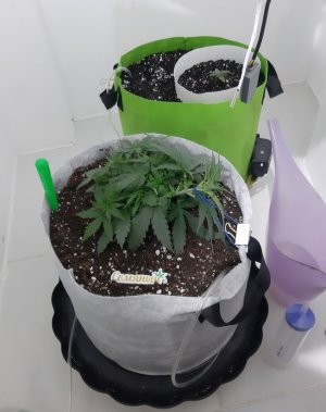 20230809_172224.jpg 20230809_172224.jpg