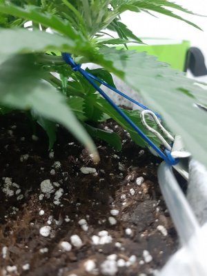 20230809_184023.jpg 20230809_184023.jpg