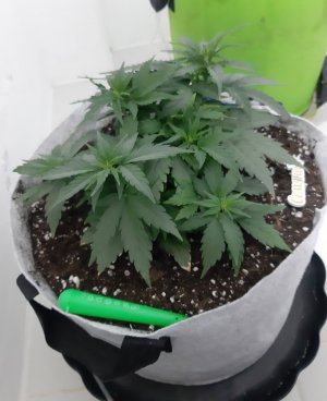 20230810_184203.jpg 20230810_184203.jpg