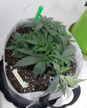 20230810_184745.jpg 20230810_184745.jpg