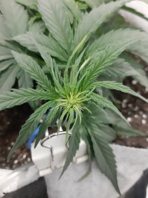 20230810_190127.jpg 20230810_190127.jpg