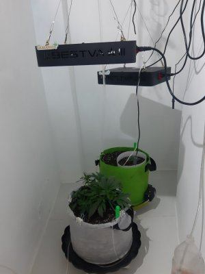 20230810_191659.jpg 20230810_191659.jpg