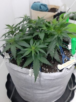 20230811_204507.jpg 20230811_204507.jpg